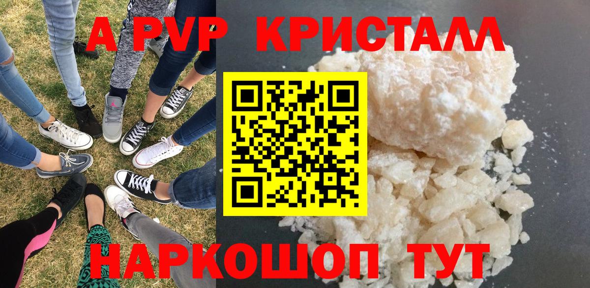 A PVP СК КРИС Омск