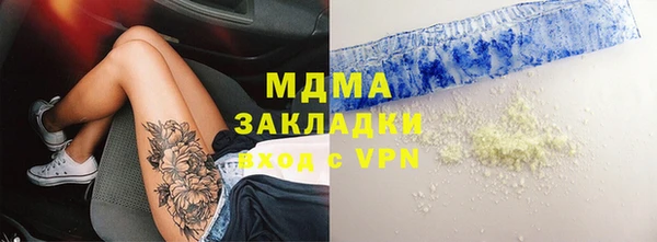 прущие грибы Верея