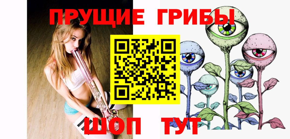 Галлюциногенные грибы Psilocybine cubensis Омск