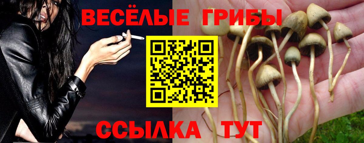 Омск  Галлюциногенные грибы GOLDEN TEACHER  Вход с VPN  закладки  Псилоцибиновые грибы ЛСД 